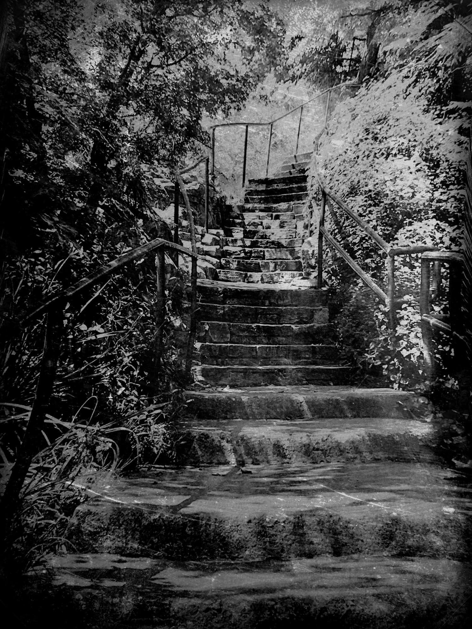 Stairway at Arboretum.
