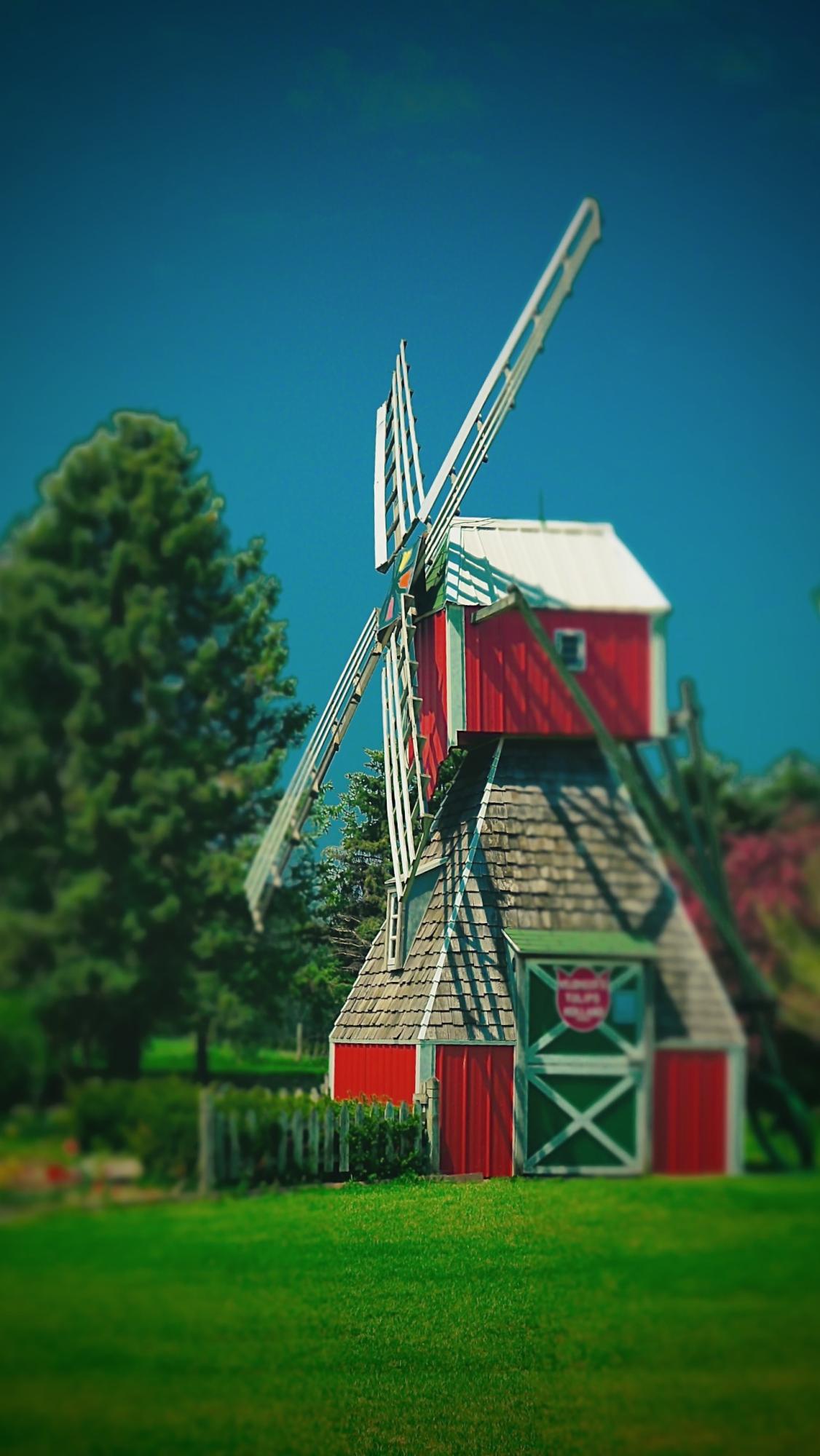 Photo of Windmill in Holland, MI.