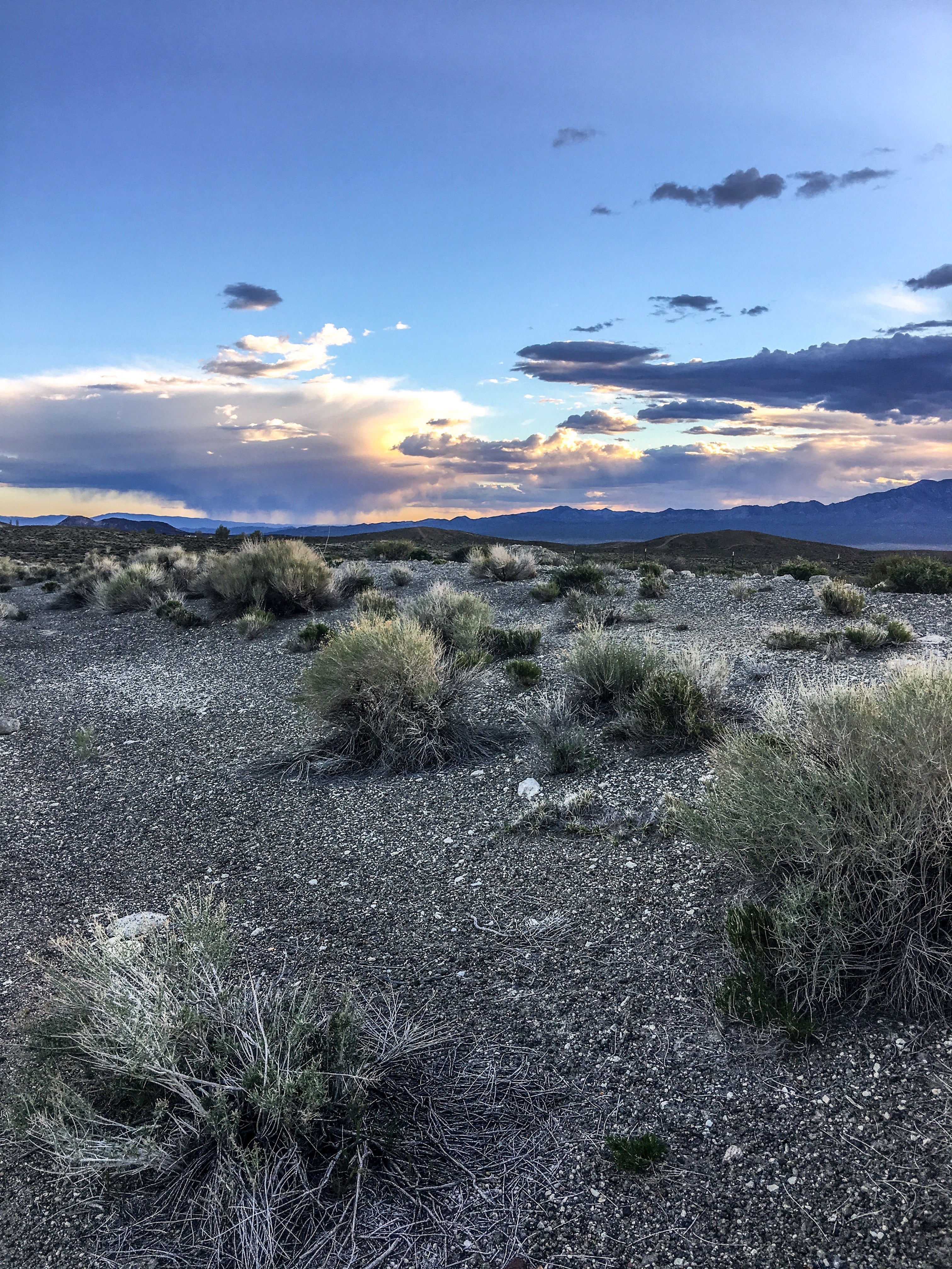 Nevada Sky.