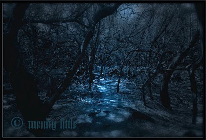 Midnight stroll through Forest.